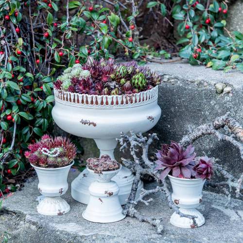 Floristik24 Plantenbeker Kelk Antiek Crème Ø20cm H20cm 1 st