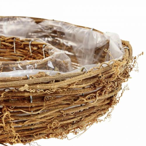 Floristik24 Wijnrankplantring, plantenbak Ø35/30cm set van 2