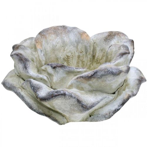 Floristik24 Betonnen roos, tuindecoratie, plantenroos, rouwbloemen grijs, abrikoos, violet Ø12cm L26.5cm H11cm
