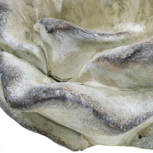 Floristik24 Rozenbloesem voor opplant, rouwbloemen, steenroos, betondecoratie grijs, abrikoos, violet Ø11cm L22cm H9cm