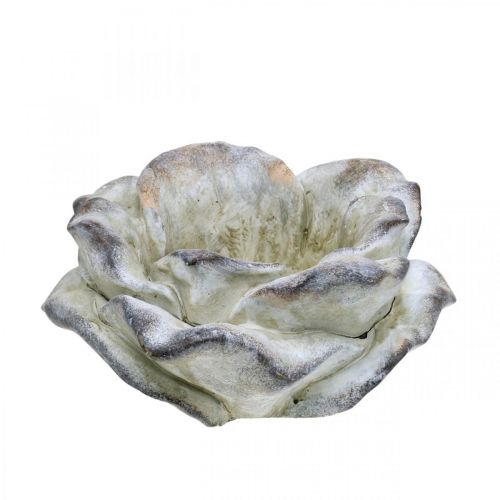 Rozenbloesem voor opplant, rouwbloemen, steenroos, betondecoratie grijs, abrikoos, violet Ø11cm L22cm H9cm