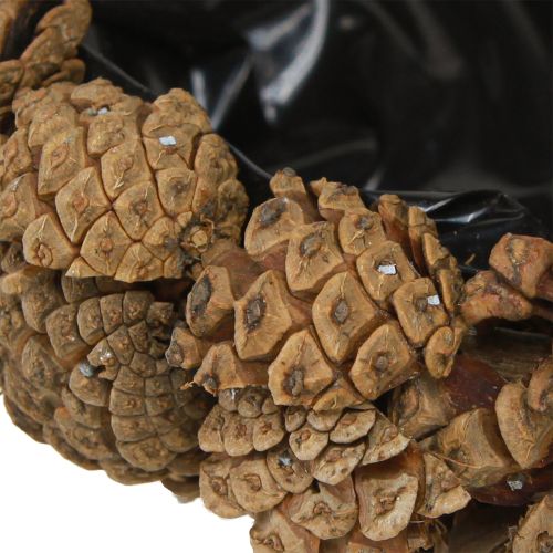 Floristik24 Plantenschaal echte kegels kegelschaal naturel Ø28cm H9cm