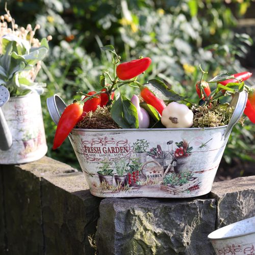 Artikel Metalen plantenbak ovaal Fresh Garden 34,5x14x15,5cm