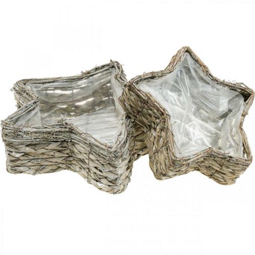 Floristik24 Plantenschaal ster, plantenbak zeegras Ø32/23,5cm set van 2