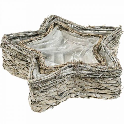 Artikel Plantenschaal ster, plantenbak zeegras Ø32/23,5cm set van 2