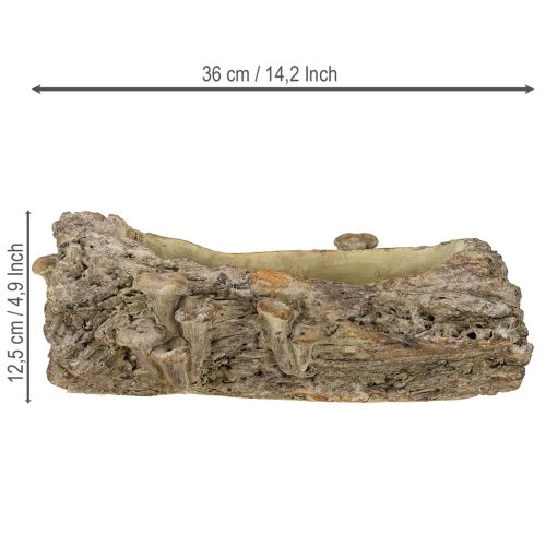 Artikel Plantenbak van gegoten steen met paddenstoelen 36×18×12,5 cm