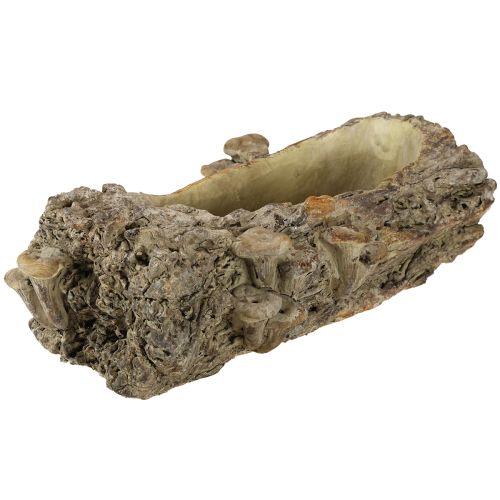 Artikel Plantenbak van gegoten steen met paddenstoelen 36×18×12,5 cm