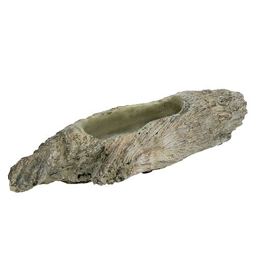 Floristik24 Plantenschaal voor vetplanten 24,5 cm x 8,5 cm H5,5 cm