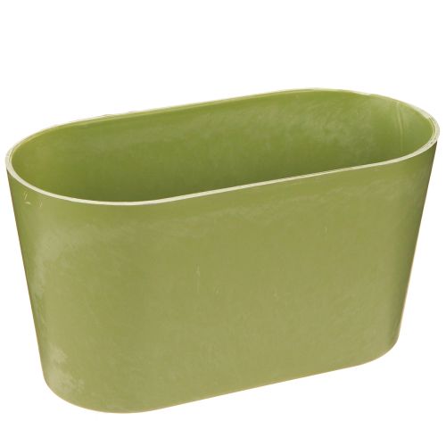 Artikel Plantenschaal ovaal groen schaal kunststof 20×10×11cm 3st