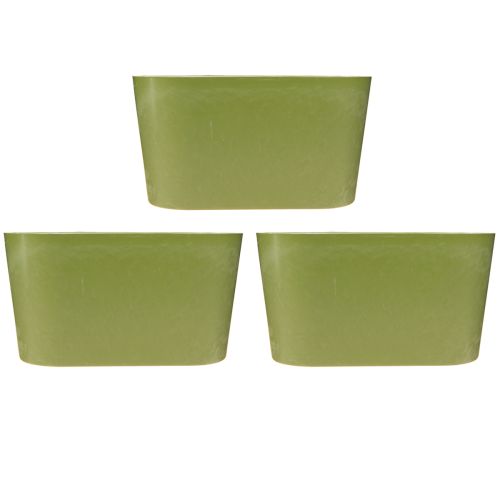 Artikel Plantenschaal ovaal groen schaal kunststof 20×10×11cm 3st
