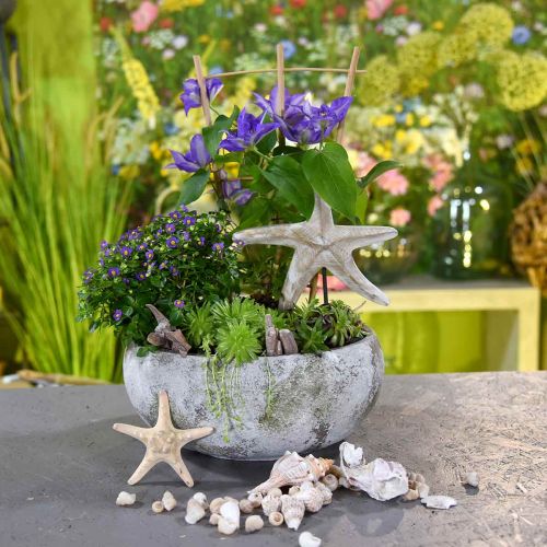Floristik24 Plantenschaal antieke look bloemenschaal patina Ø32cm H14cm