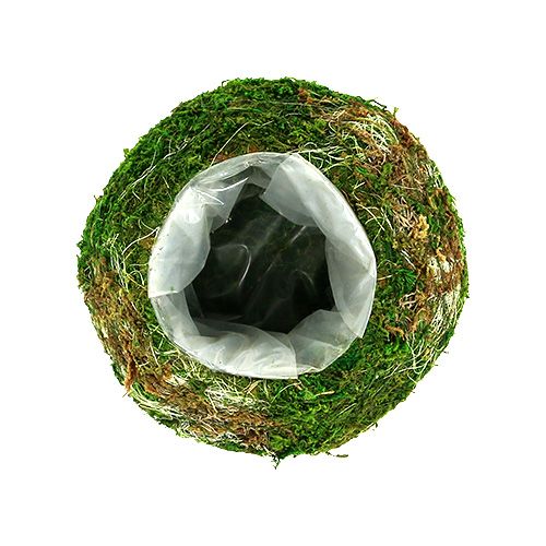 Floristik24 Plantenschaal mosschaal Ø18cm 2st