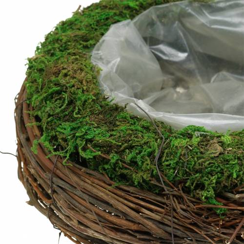 Floristik24 Plantenschaal rotan, mos Ø26cm H9cm