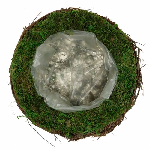 Floristik24 Plantenschaal rotan, mos Ø26cm H9cm