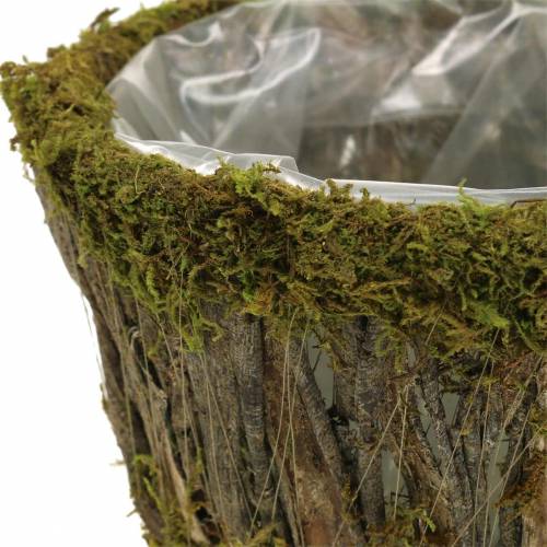 Floristik24 Plantenschaal mos/schors rond Ø15/20cm set van 2