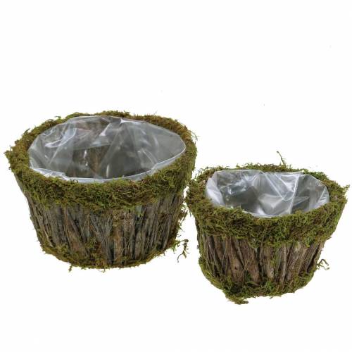Floristik24 Plantenschaal mos/schors rond Ø15/20cm set van 2