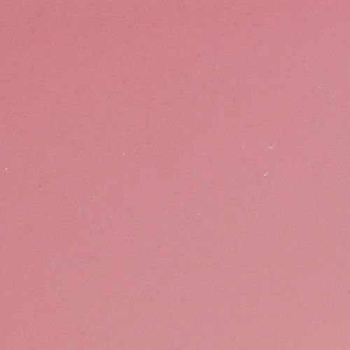 Artikel Plantenboot plastic bloemenschaal roze 28×9×9cm 3st