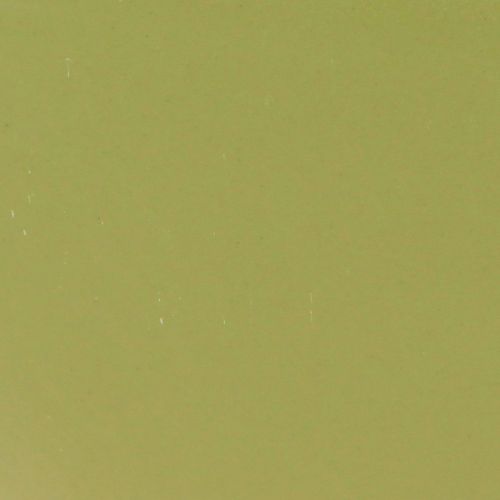 Artikel Plantenboot kunststof sierschaal groen 28×9×9cm 3st