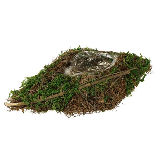 Bootranken planten en mos plantenbak 31×17×6cm
