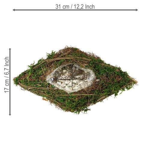 Artikel Bootranken planten en mos plantenbak 31×17×6cm