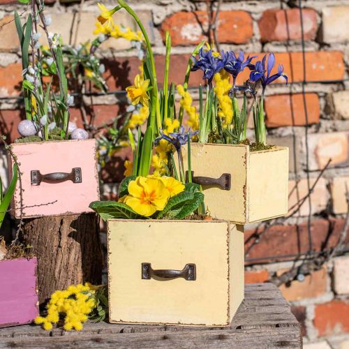 Floristik24 Plantenlade plantenbak hout geel 12,5/16cm set van 2