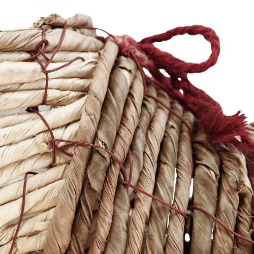 Floristik24 Plantenbakschoen voor het planten van zeegras 22,5×10×12cm