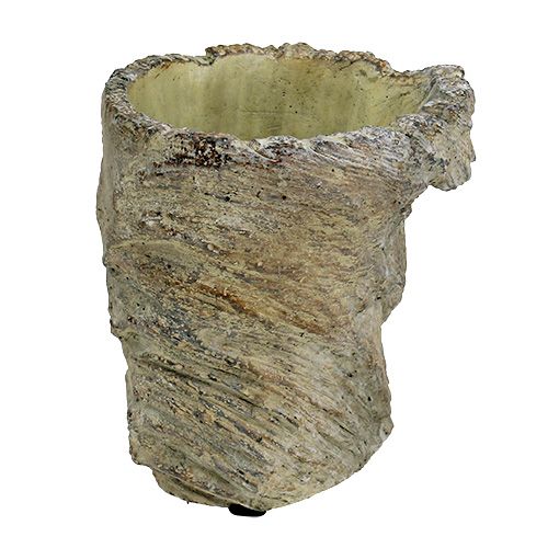 Floristik24 Plantpot boomstam Ø11.5cm H14cm 2st