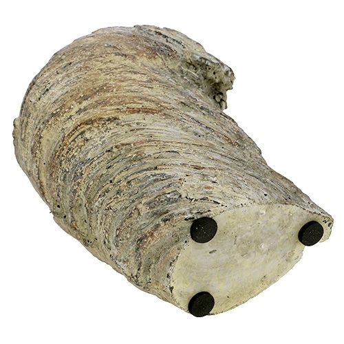 Floristik24 Plantpot boomstam Ø11.5cm H14cm 2st