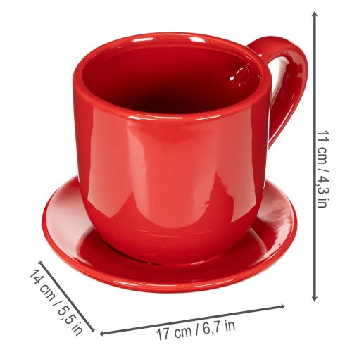 Grote decoratieve kop met schotel, ook geschikt als plantenpot, 17 cm | Floristik24.nl