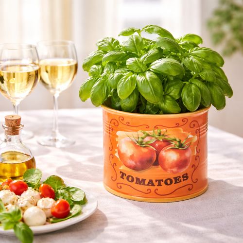 Artikel Tomatenplantenpotten set, keramische decoratieve bloempotten voor keuken en retro interieur, 14 cm, set van 3