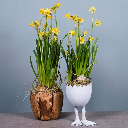 Floristik24 Plantenpot Eierschaal met poten Wit Ø13cm H21cm
