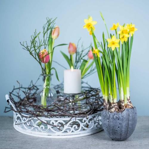 Floristik24 Bloempot eierschaal Ø12cm H11.5cm 6st