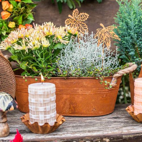 Floristik24 Plantenpot met handvatten, kruidenschaal, herfstdecoratie, patina L28cm H11cm