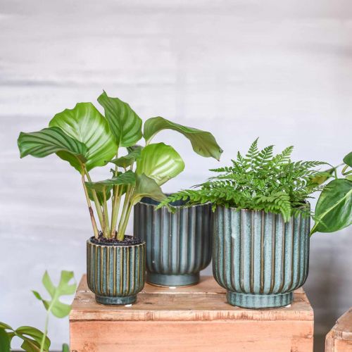 Floristik24 Bloempot, keramisch vat, gegolfde plantenbak groen, bruin Ø11.5cm H12.5cm