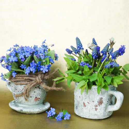 Artikel Plantenpot plantenbak kop en schotel vintage grijs, natuurlijke tint Ø8cm H6,5cm 4 st