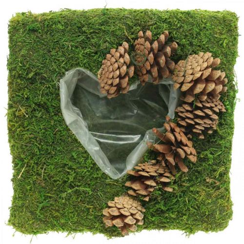 Floristik24 Plantenkussen hart mos en kegels vierkant 25×25cm