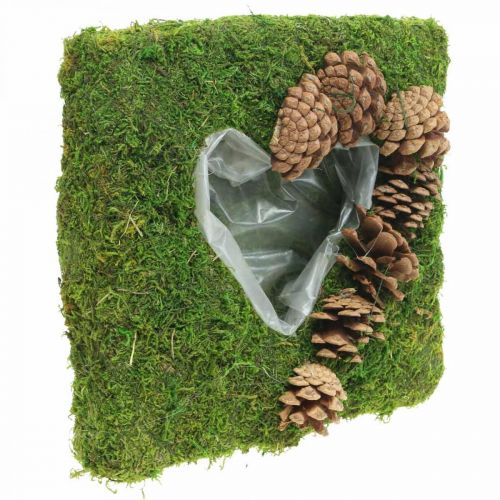 Floristik24 Plantenkussen hart mos en kegels vierkant 25×25cm