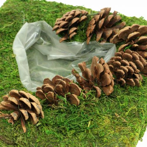 Floristik24 Plantenkussen hart mos en kegels vierkant 25×25cm