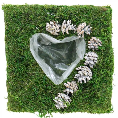 Floristik24 Plantenkussen hart mos en kegels, wit gewassen 25 × 25cm