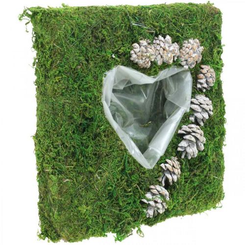 Floristik24 Plantenkussen hart mos en kegels, wit gewassen 25 × 25cm