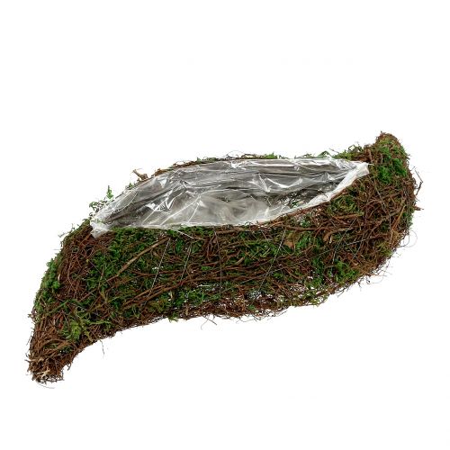 Floristik24 Plant golfmos met rank 28cm x30cm