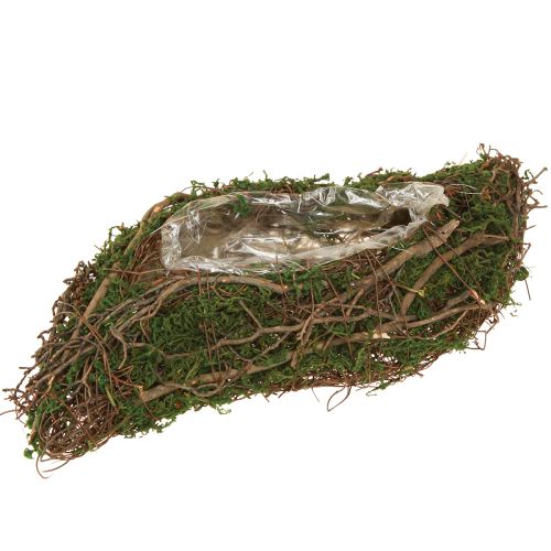 Plant Wave Vines Kleine Plantenschaal met Mos 31×15×7cm