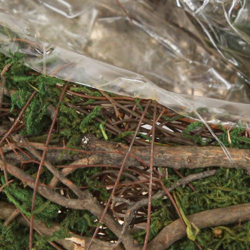 Artikel Plant Wave Vines Kleine Plantenschaal met Mos 31×15×7cm