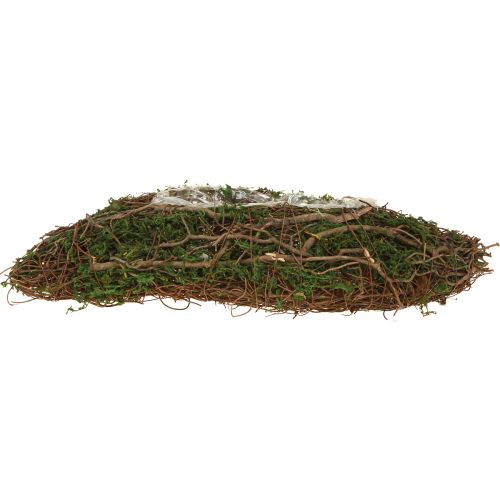 Artikel Plant Wave Vines Kleine Plantenschaal met Mos 31×15×7cm
