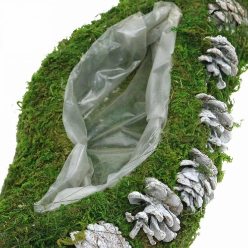 Floristik24 Plantenbak mos en kegels golfgroen, gewassen wit 41 × 15cm