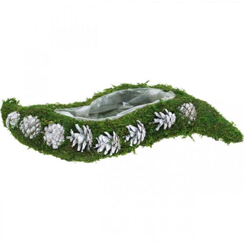 Floristik24 Plantenbak mos en kegels golfgroen, gewassen wit 41 × 15cm