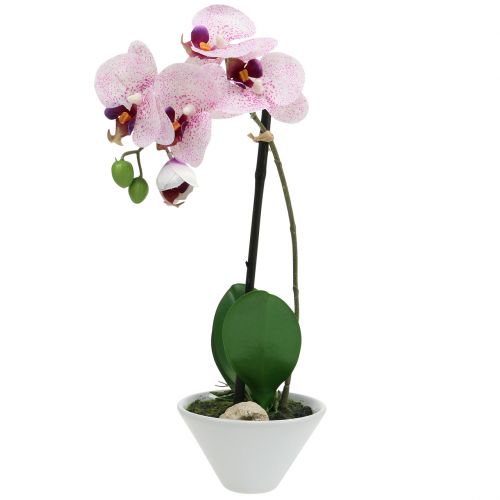 Floristik24 Kunstmatige phalaenopsis paars-wit in schaal H38cm