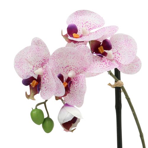 Floristik24 Kunstmatige phalaenopsis paars-wit in schaal H38cm
