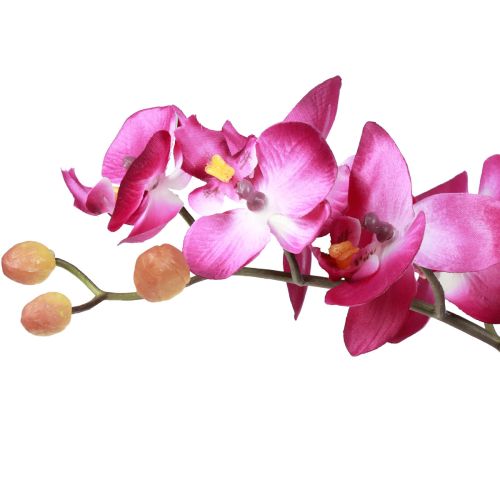Artikel Kunstorchideeën in pot Phalaenopsis kunstbloemen orchideeën roze 34cm