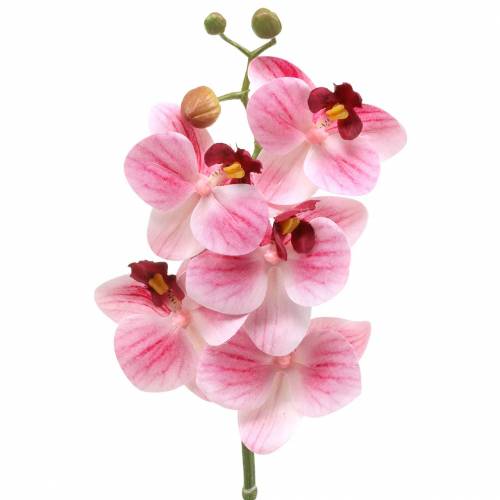 Orchidee kunsttak Phaelaenopsis roze H49cm